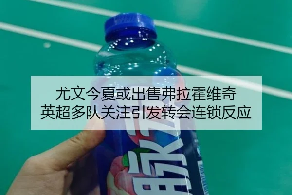 尤文今夏或出售弗拉霍维奇 英超多队关注引发转会连锁反应
